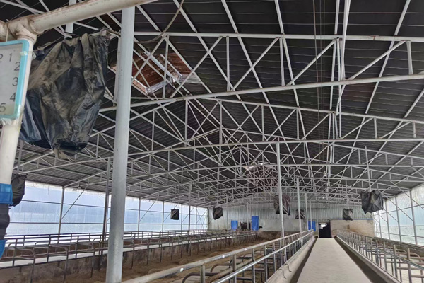 鋼結(jié)構(gòu)牧場(chǎng)